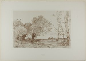 Saules et peupliers blancs - Jean Baptiste Camille Corot
