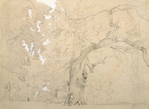 Jeune homme devant un grand chêne, vers 1840
