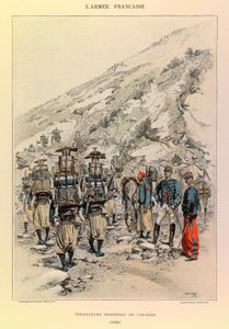 Types et uniformes de l