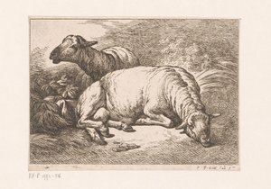 Deux moutons