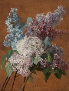Une étude sur les lilas - Jean Baptiste Huet