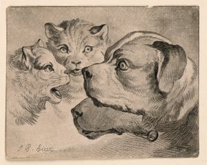 Têtes de chats et de chiens - Jean Baptiste Huet
