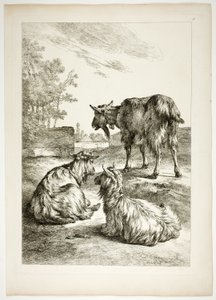 Planche dix-huit de 38 de Oeuvres de J. B. Huet - Jean Baptiste Huet