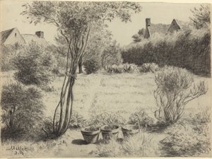 Jardin ensoleillé
