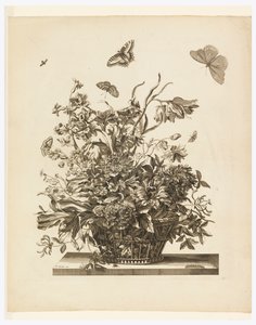 Planche 10, de la série Fleurs dans un panier - Jean Baptiste Monnoyer