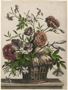 Soucis, anémone simple, jasmin... - Jean Baptiste Monnoyer I