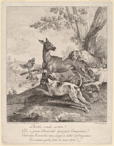 Un cerf attaqué par des chiens