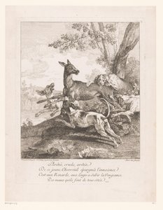 Cerf attaqué par des chiens de chasse