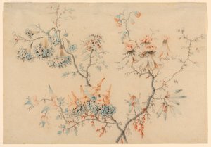 Dessin, branches fleuries, 1775-1800 - Jean Baptiste Pillement