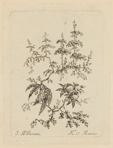 Fleur fantastique
