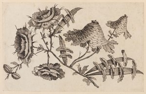 Branche de fleur, de "Recueil de Fleurs Chinois"
