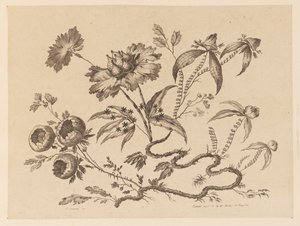 Brindilles de fleurs, de "Recueil de Differentes Fleurs de Fantaisie Dans le Goût Chinois"