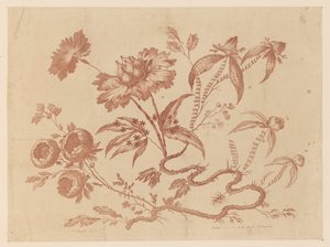 Brindilles de fleurs, de "Recueil de Différentes Fleurs de Fantaisie Dans le Goût Chinois" - Jean Baptiste Pillement