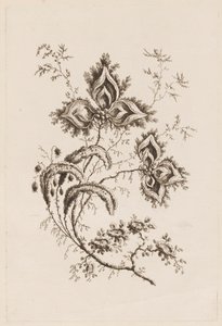 Branche de fleur, de "Fleures Persannes"