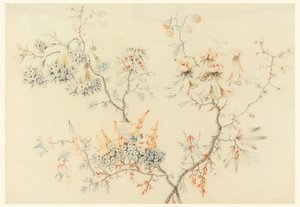 Branches fleuries - Jean Baptiste Pillement