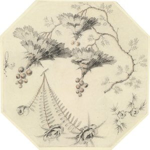 Fleurs de pagode et roses - Jean Baptiste Pillement
