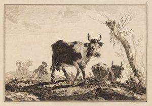 Planche 5, "Cahier de Six Feuilles de Bœufs et Vaches"