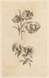 Deux branches de fleurs