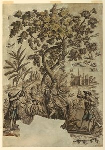 Chasse aux oiseaux