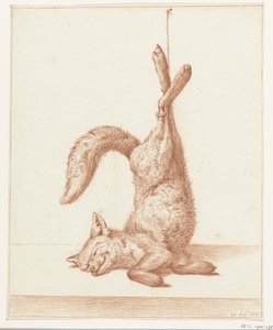 Renard mort, pendu par ses pattes