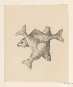 Trois petits poissons disposés en croix