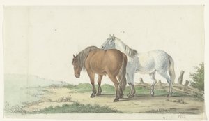 Un cheval brun et un cheval blanc sur un chemin près d