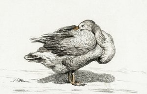 Goose (1816) - Jean Bernard