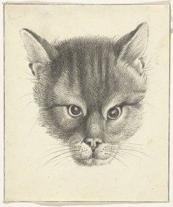 Tête de chat, de face