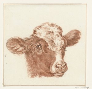 Tête de vache