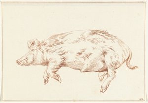 Cochon couché, vers la gauche