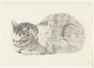 Chat couché, vers la gauche