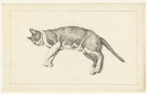 Chat couché, vu de gauche, de dessus