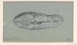 Morceau de saumon cuit