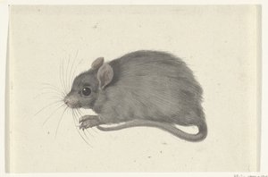 Souris, vers la gauche