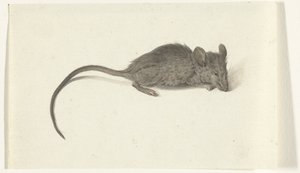 Souris, vers la droite - Jean Bernard