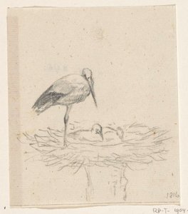Cigogne sur un nid - Jean Bernard