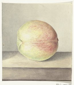 Pêche - Jean Bernard