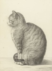Chat assis, vers la gauche