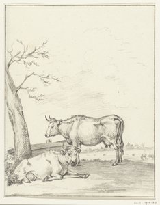 Vache debout et couchée