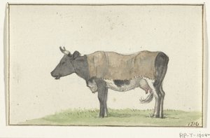 Vache debout avec une couverture, vers la gauche