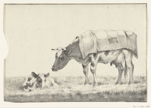 Vache debout, vers la gauche, avec un veau couché - Jean Bernard