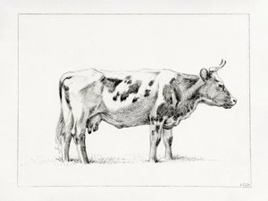 Vache debout (1820) - Jean Bernard