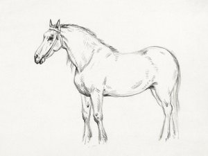 Cheval debout (1818)