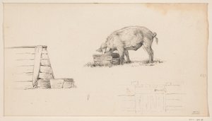 Cochon, une cabane et une esquisse de clôture - Jean Bernard