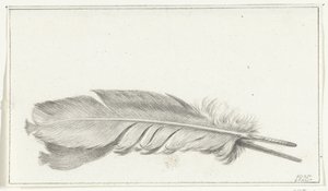 Plume
