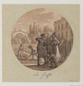 Design pour une Assiette en Porcelaine Peinte, Les Greffes du Service de la Culture des Fleurs - Jean Charles Develly
