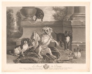 Trois chiens dont un déguisé sur un patio