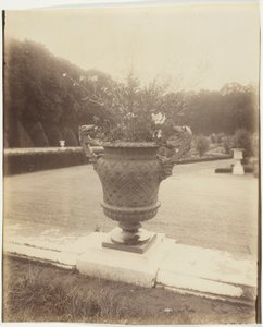 Versailles, Vase par Ballin - Jean Eugène Auguste Atget