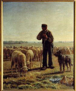 Le père chicorée