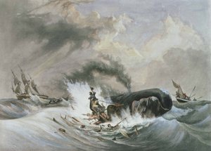 La baleine - Jean Francois (after) Garneray